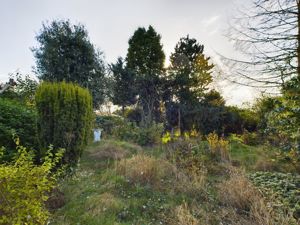 Garden- click for photo gallery
